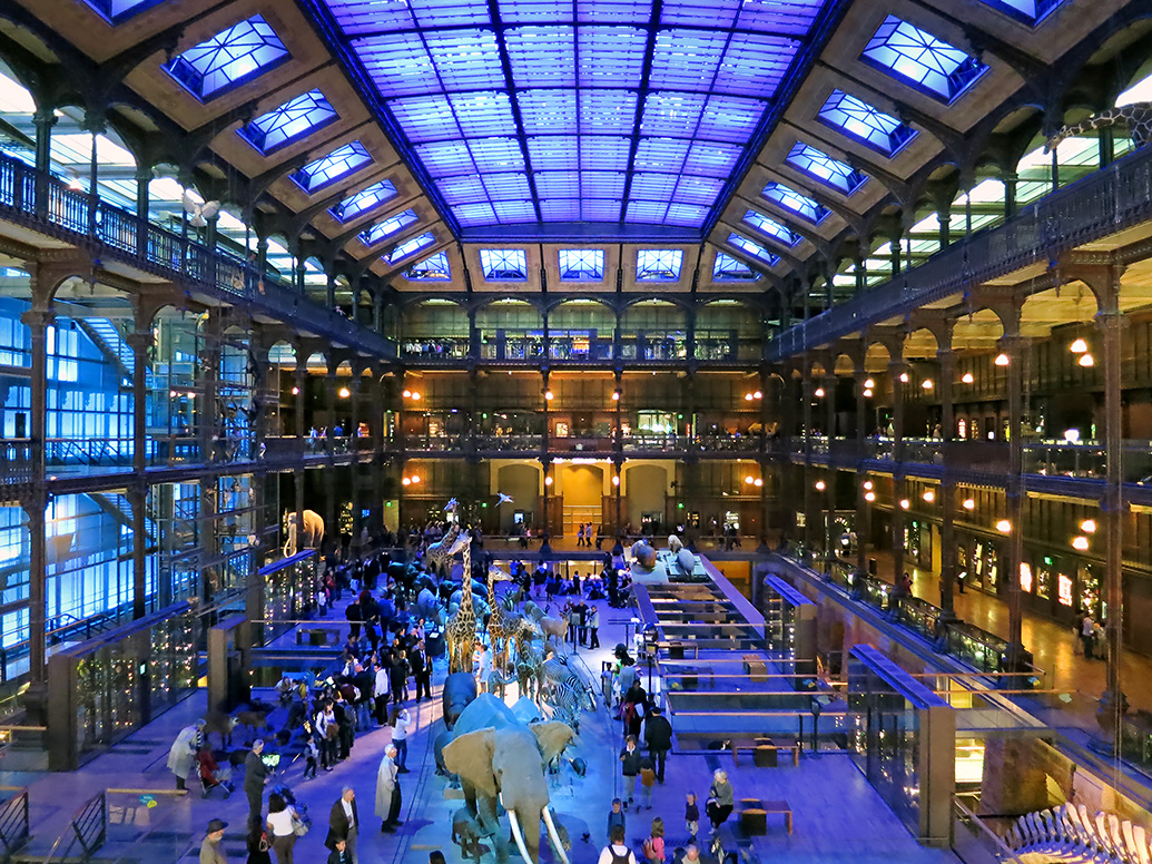 grande gallerie de evolution parijs 5-2013 1357