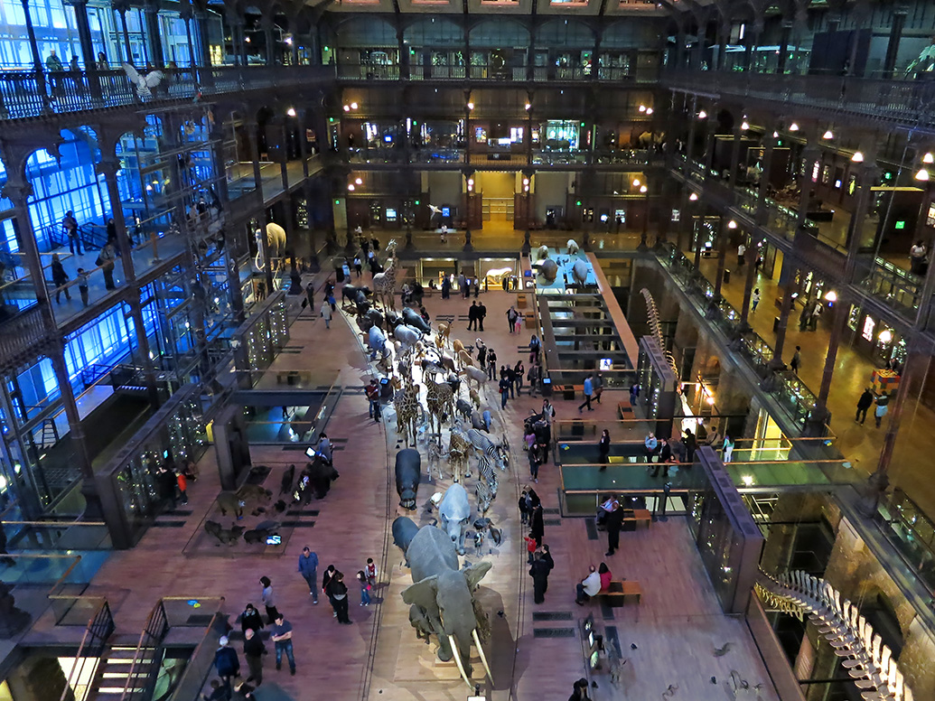 grande gallerie de evolution parijs 5-2013 1385