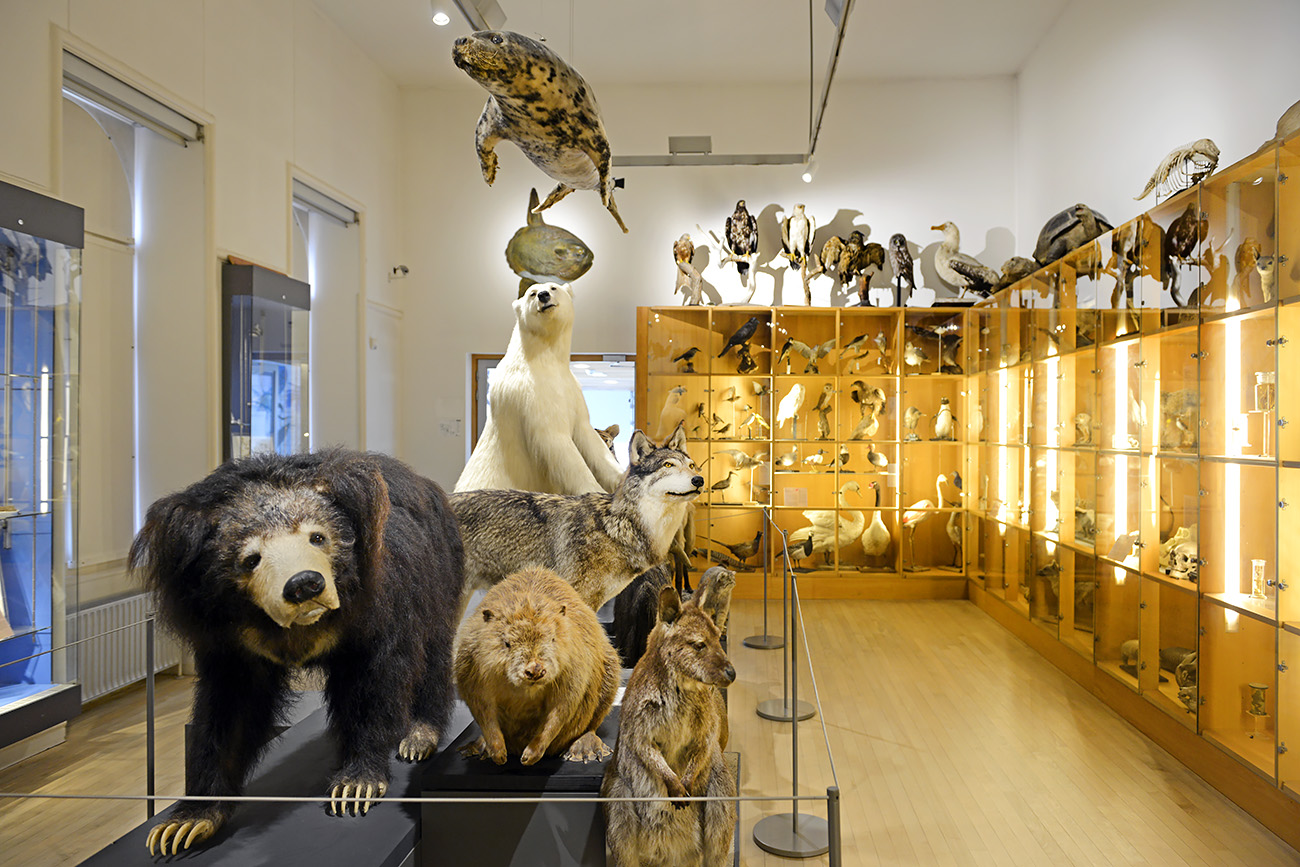 het natuurhistorisch rotterdam 3-2022 1319