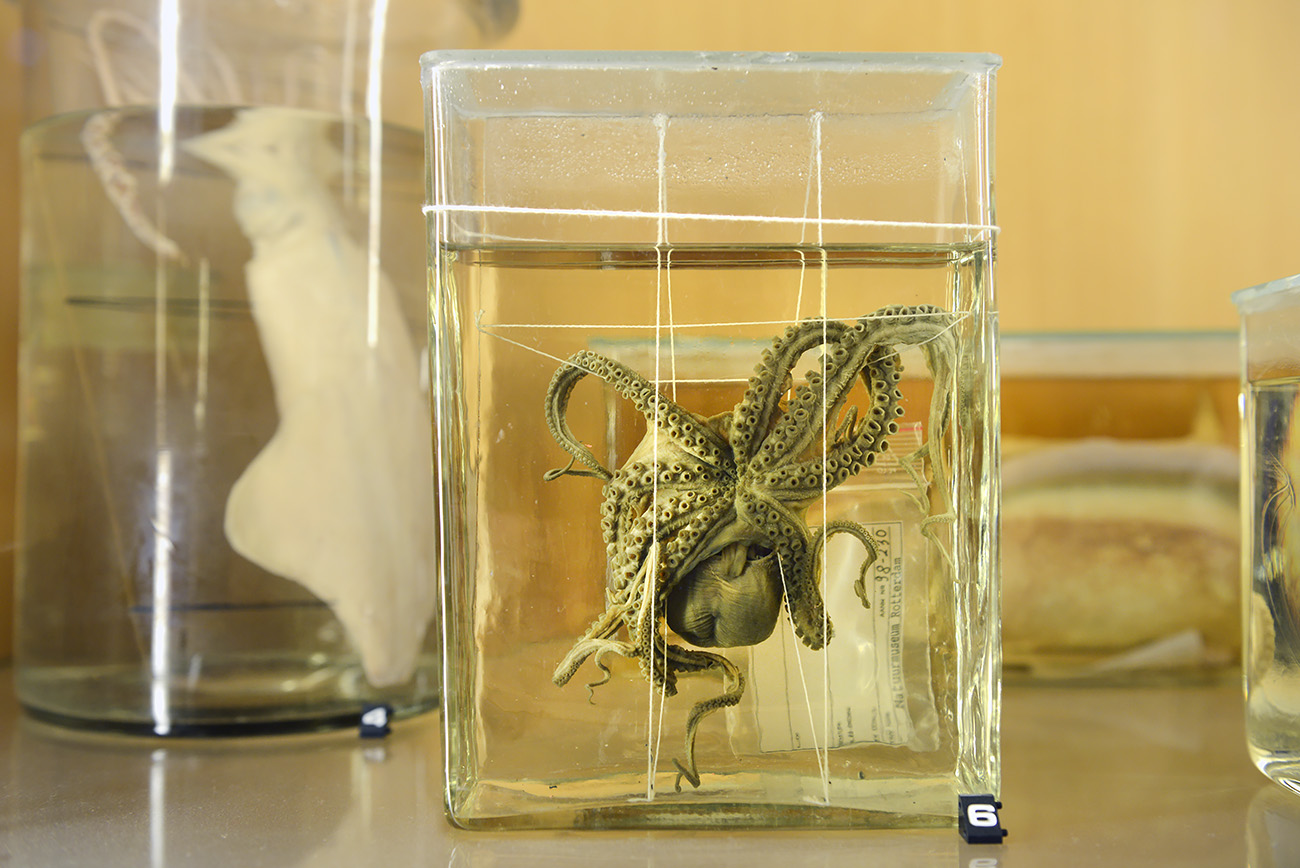 het natuurhistorisch rotterdam 3-2022 1344