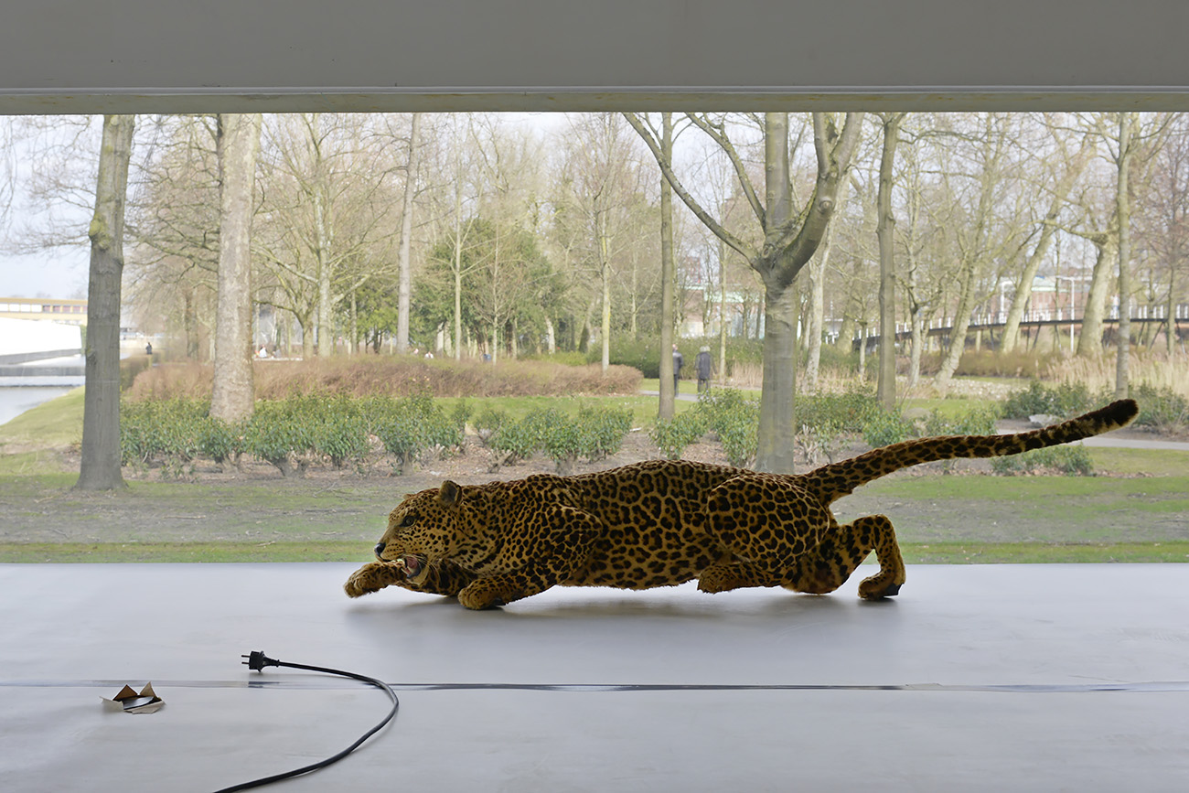 het natuurhistorisch rotterdam 3-2022 1357