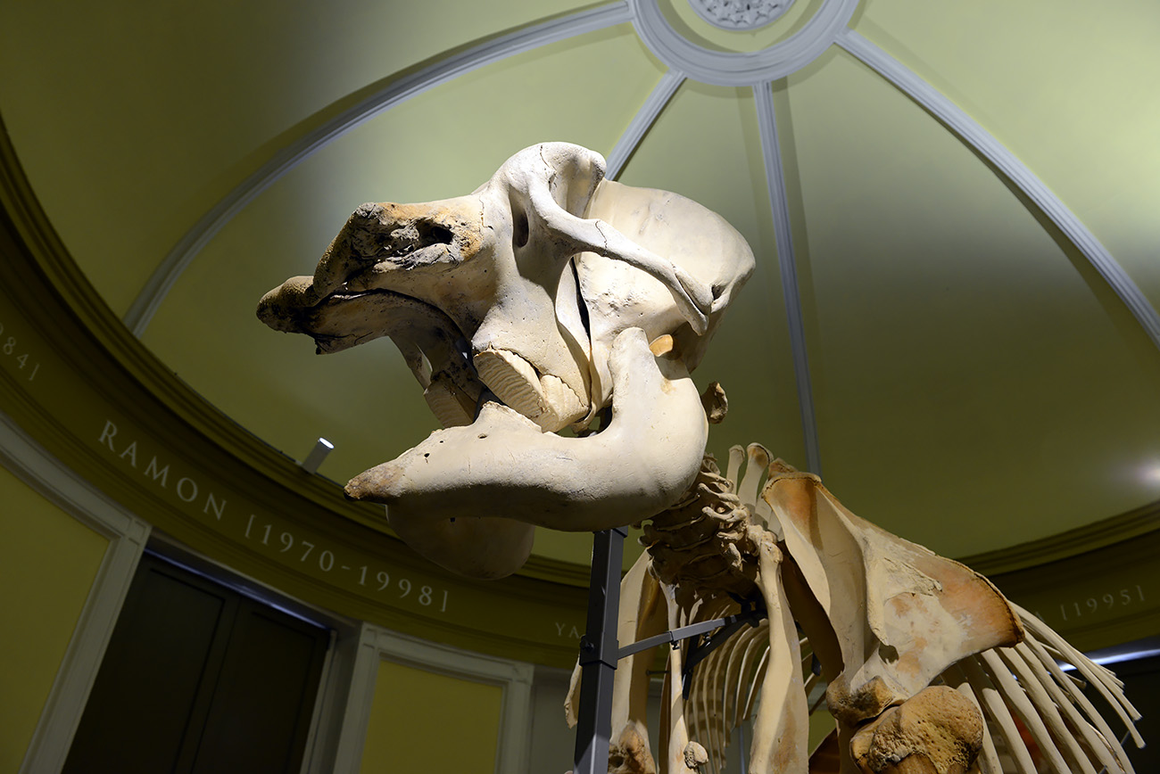 het natuurhistorisch rotterdam 3-2022 1399