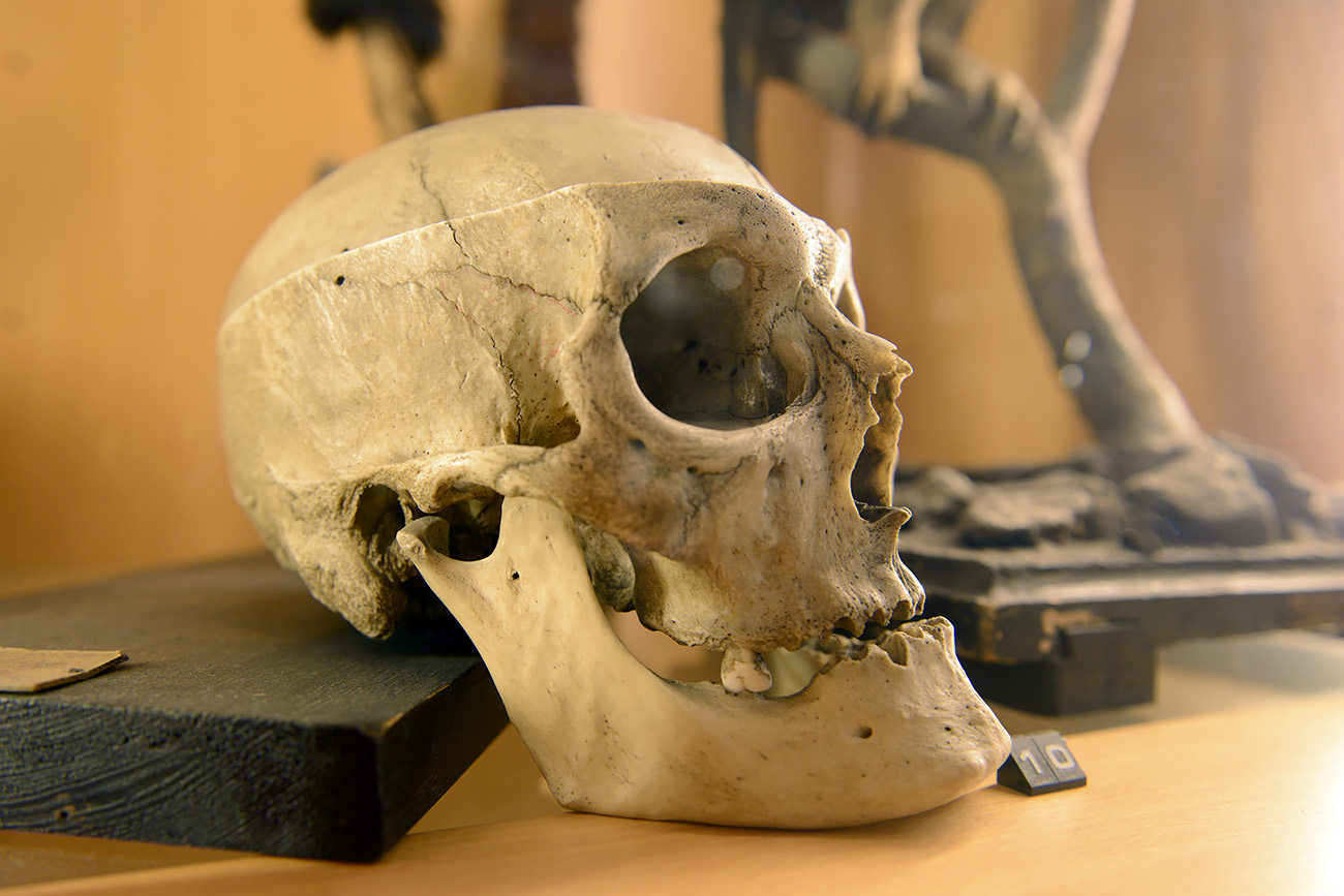 het natuurhistorisch rotterdam 3-2022 1421