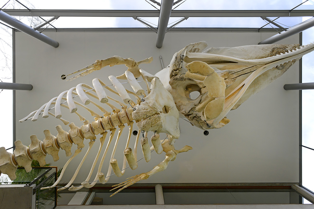 het natuurhistorisch rotterdam 3-2022 1433