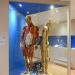 musee des ecorches de anatomie neubourg 10-2021 0399