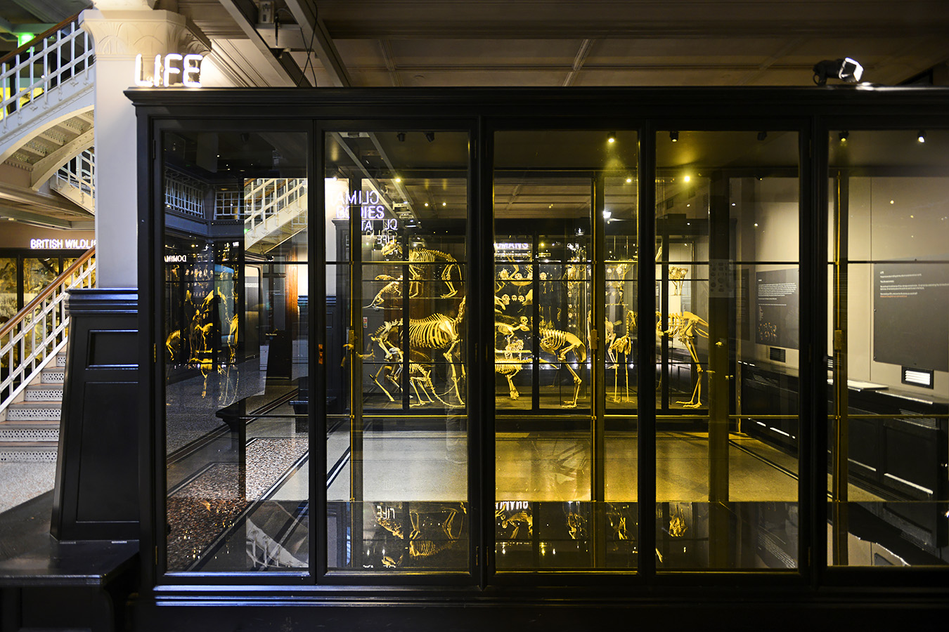 manchester museum 9-2023 8781