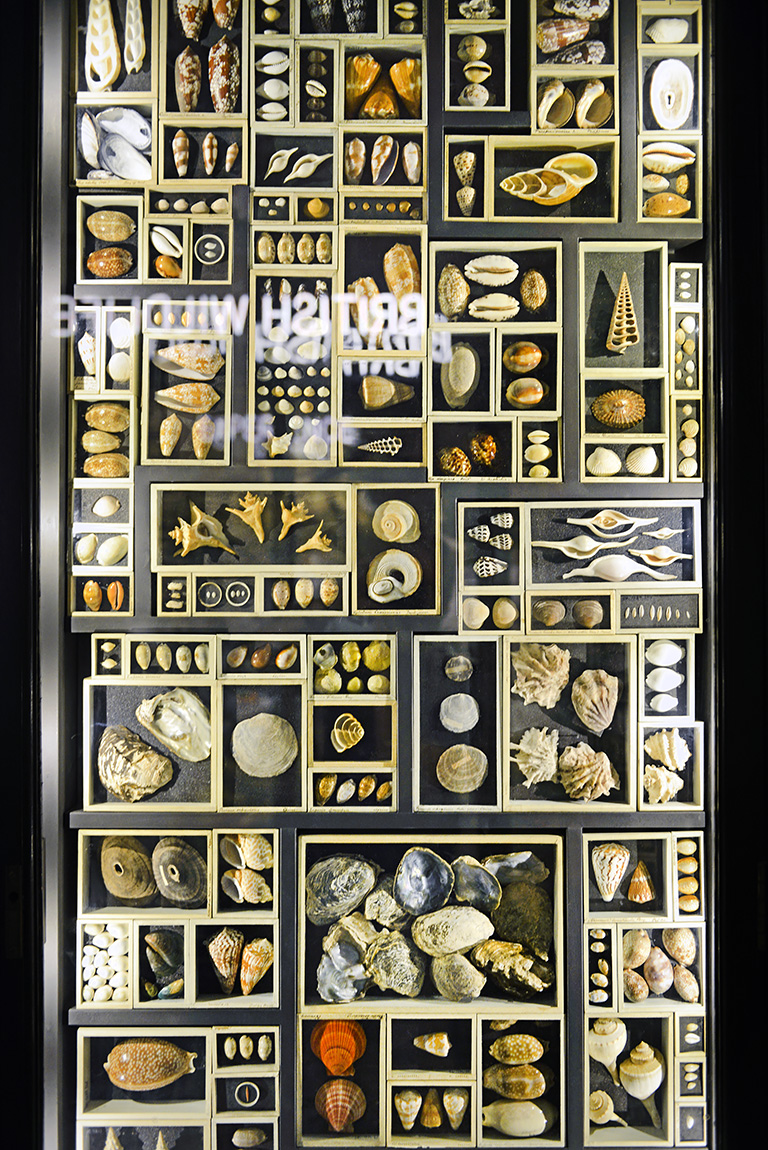 manchester museum 9-2023 8796