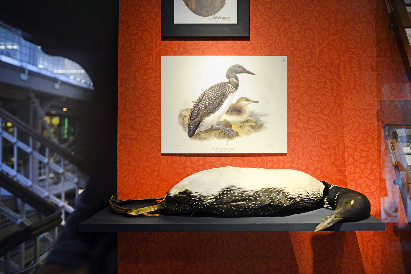 manchester museum 9-2023 8832