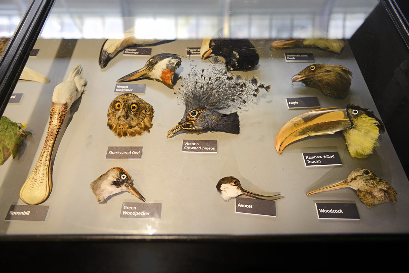 manchester museum 9-2023 8843