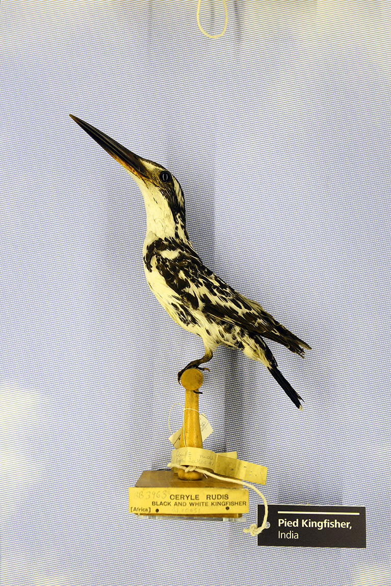 manchester museum 9-2023 8852