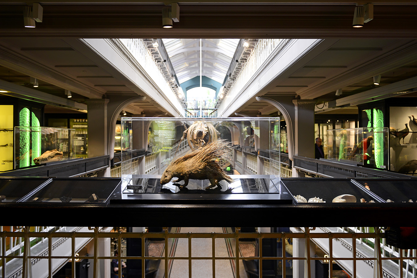 manchester museum 9-2023 8857