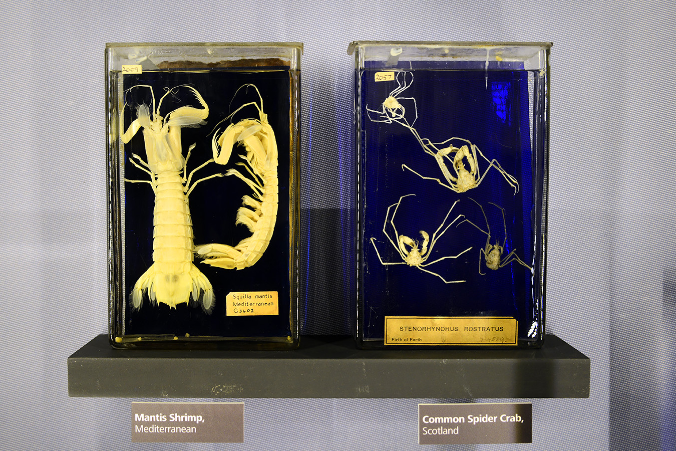 manchester museum 9-2023 8864