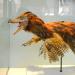 manchester museum 9-2023 8885