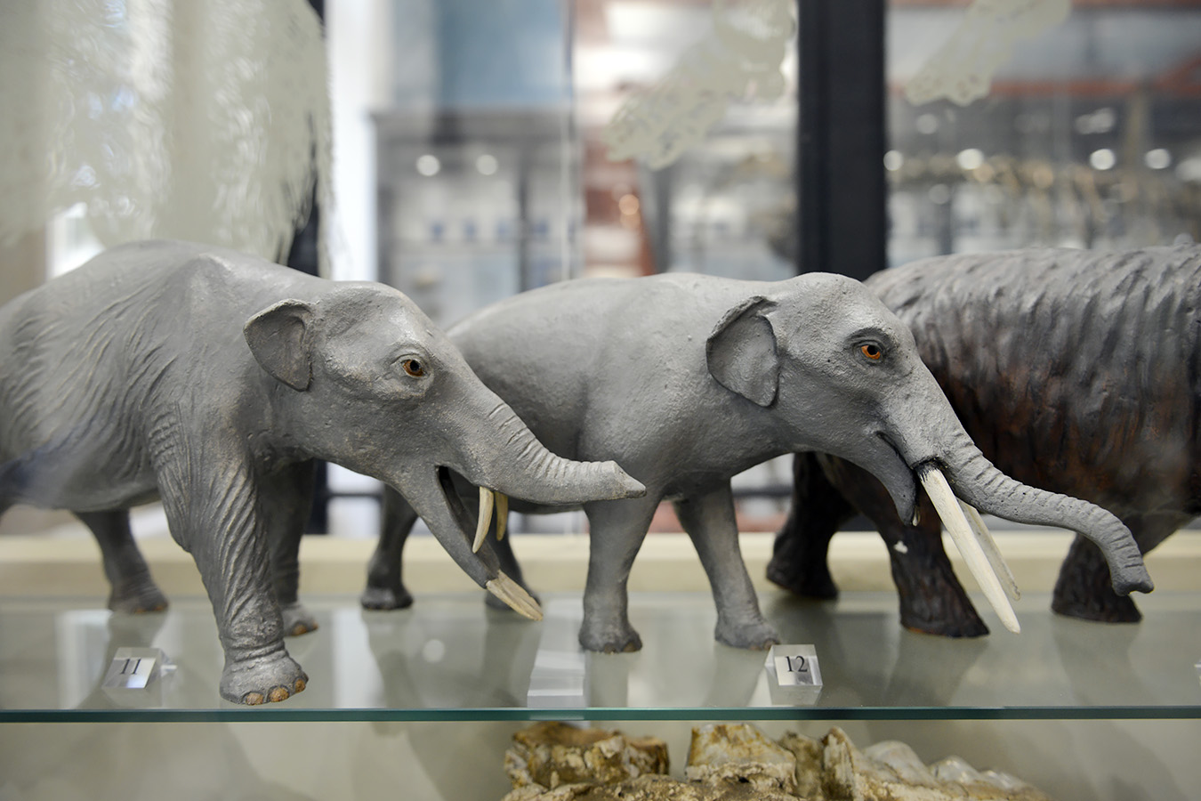 manchester museum 9-2023 8891