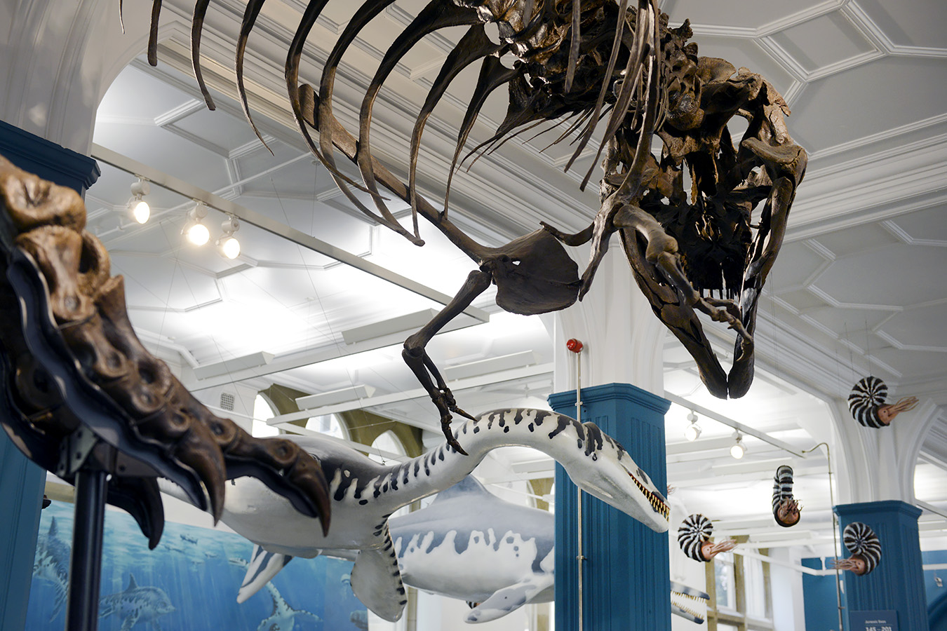 manchester museum 9-2023 8900