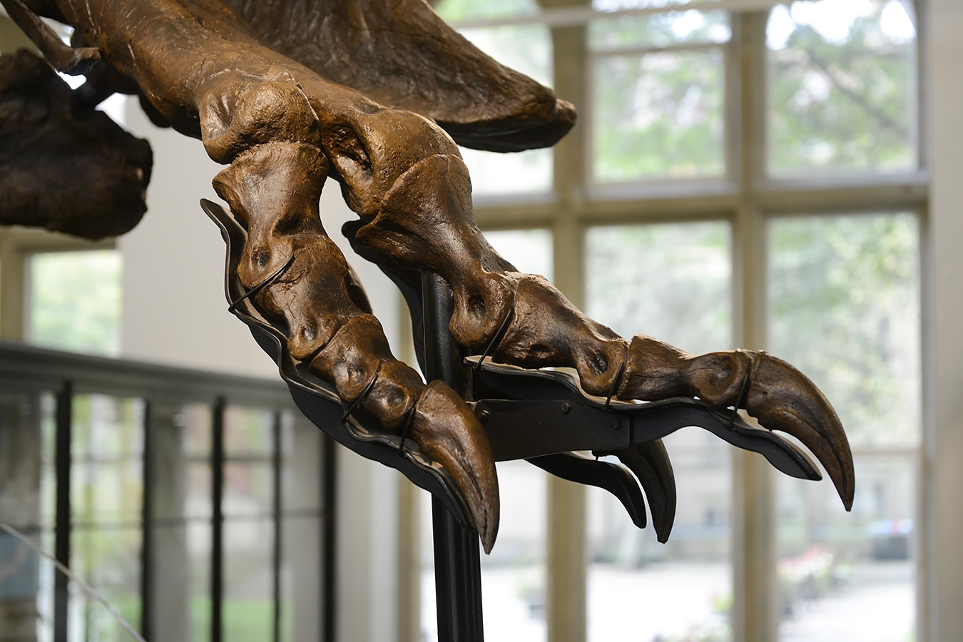 manchester museum 9-2023 8902