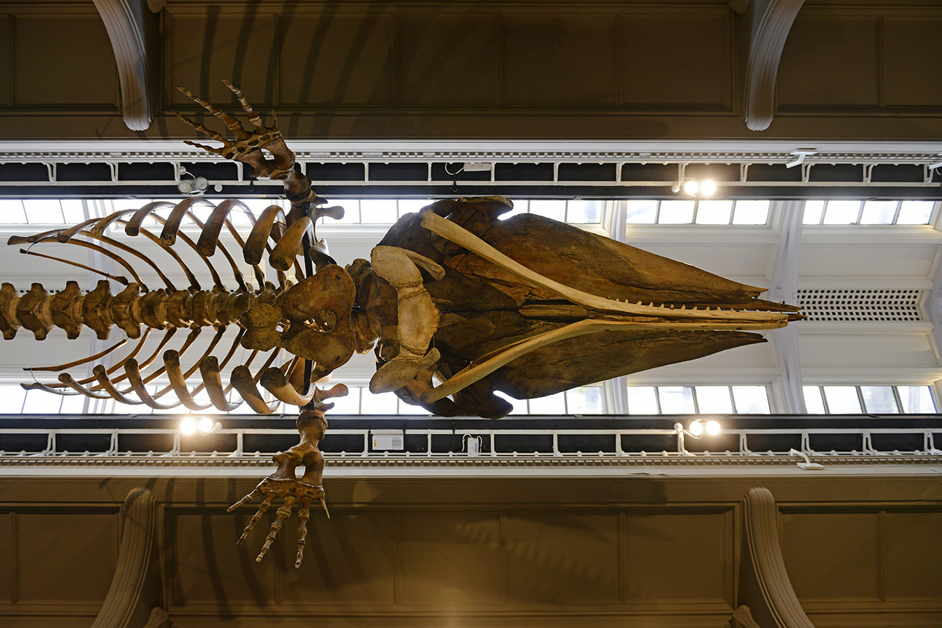 manchester museum 9-2023 8920