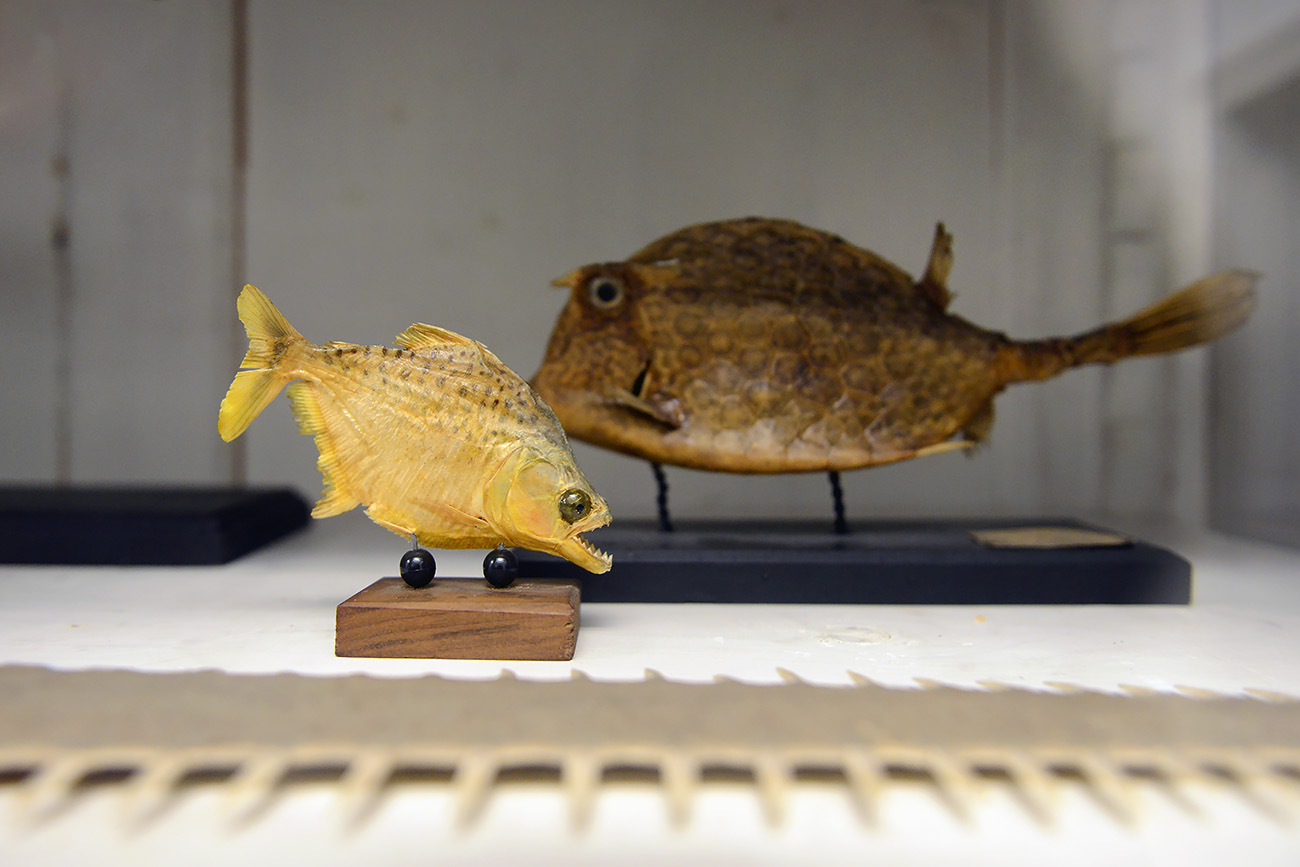 missiemuseum steyl 5-2022 2351