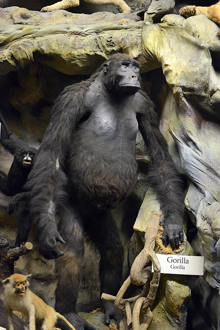 missiemuseum steyl 5-2022 2394