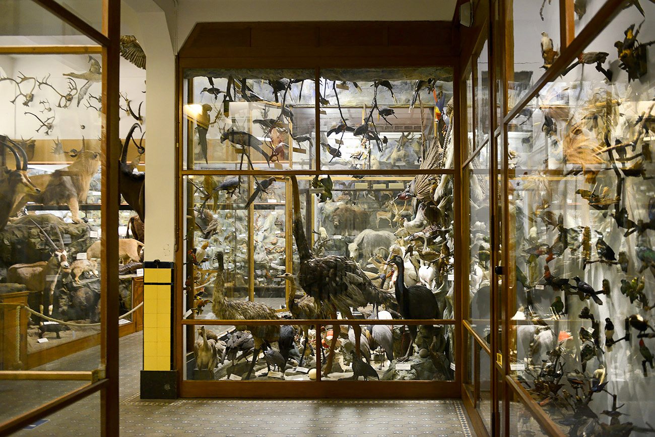 missiemuseum steyl 5-2022 2457