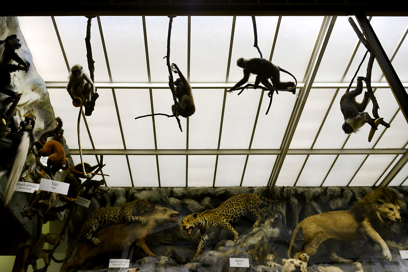 missiemuseum steyl 5-2022 2618