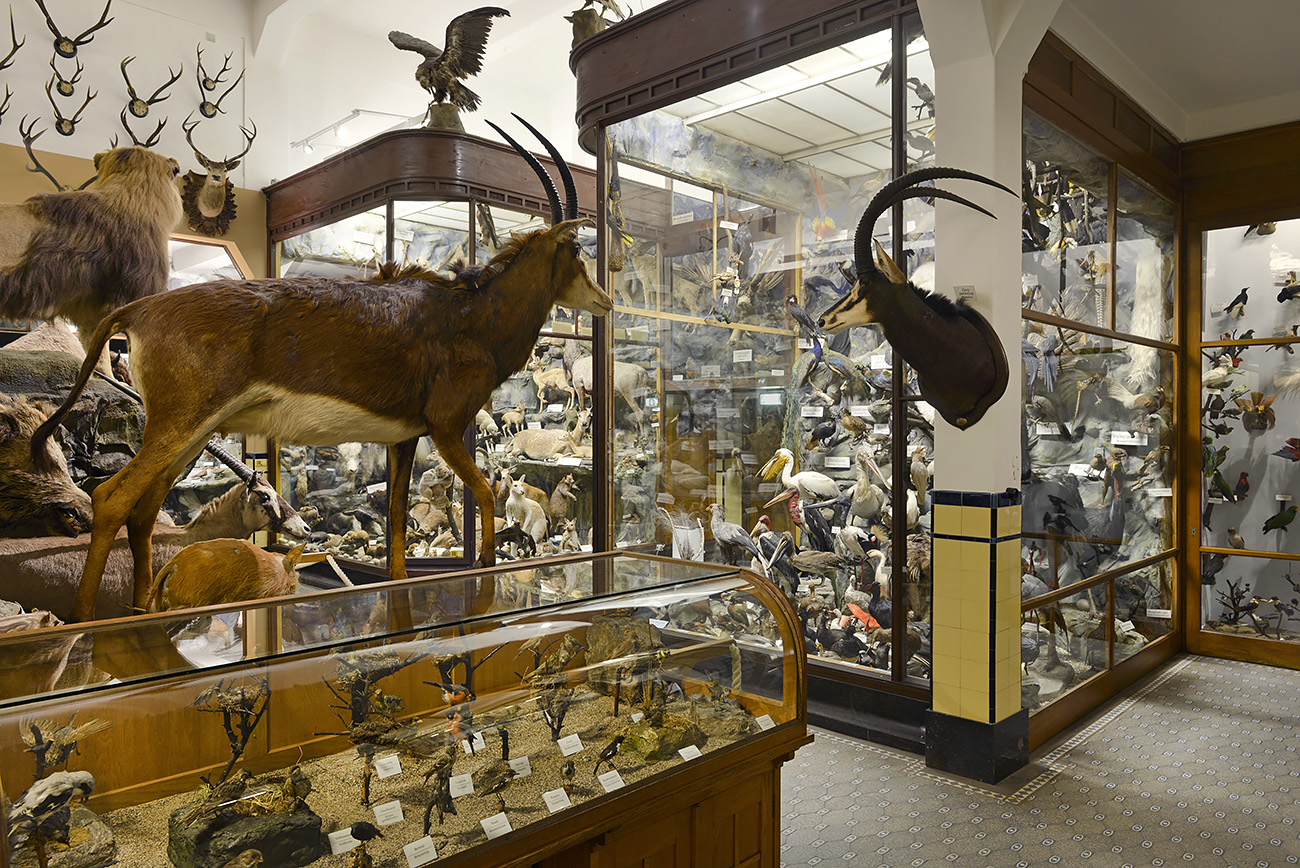 missiemuseum steyl 5-2022 3070