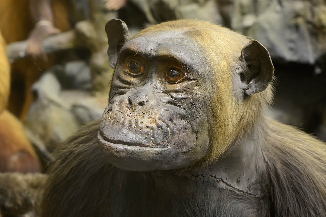 missiemuseum steyl 5-2022 3097-