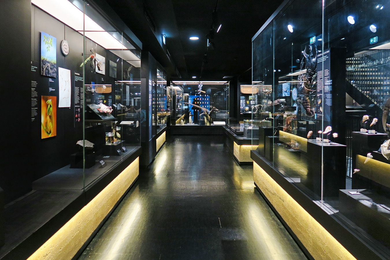 mobe orleans 8-2025 2590