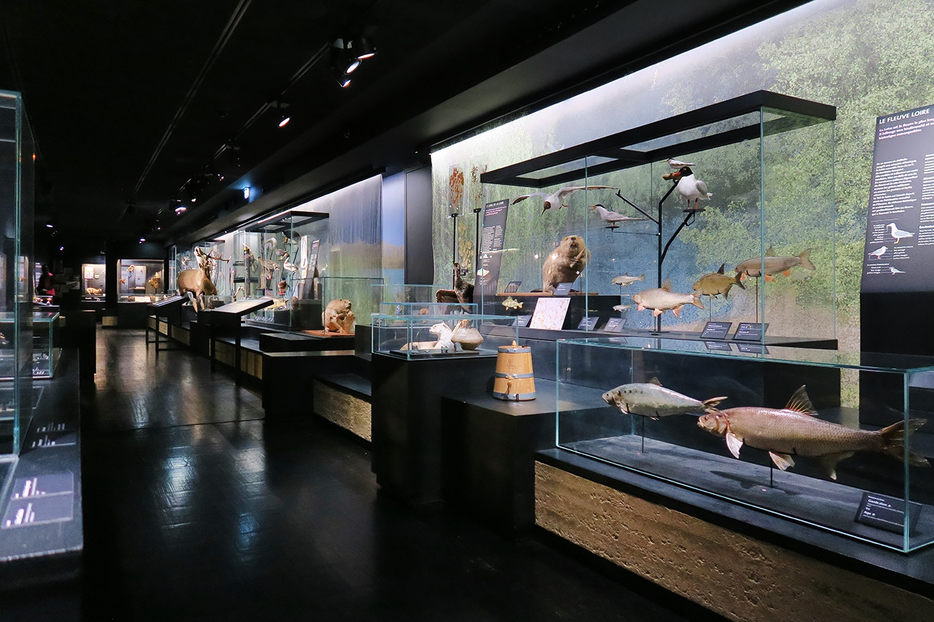 mobe orleans 8-2025 2641