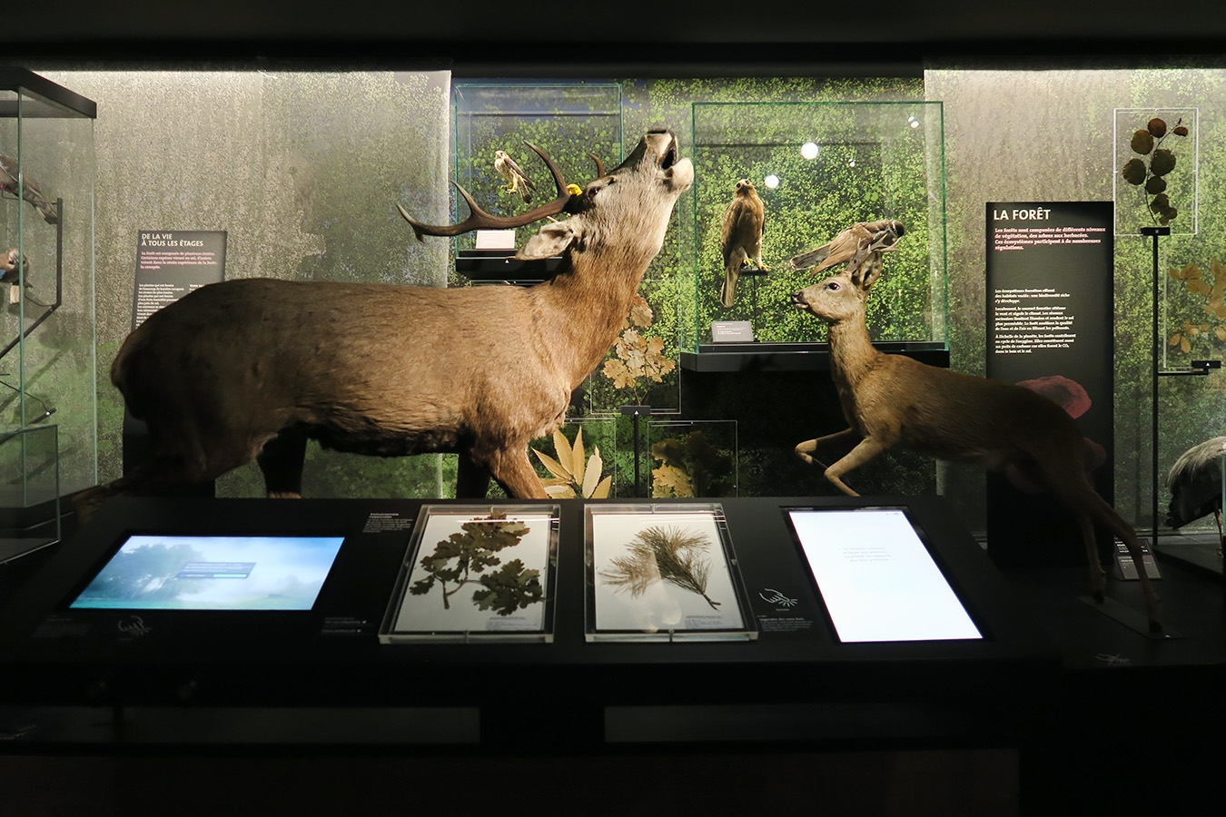 mobe orleans 8-2025 2652