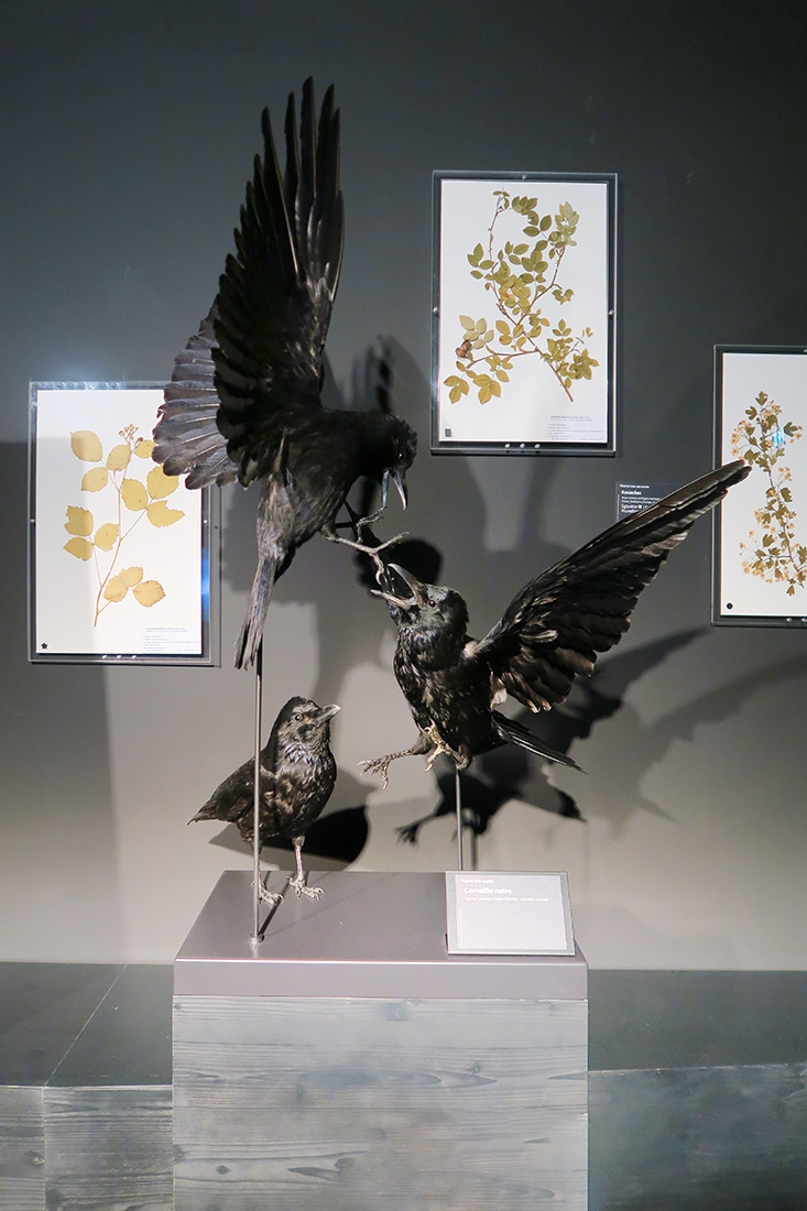 mobe orleans 8-2025 2674