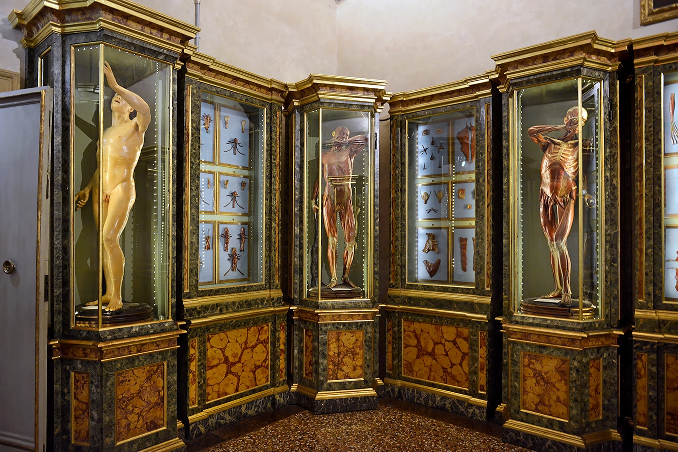 museo di anatomia umana bologna 8-2022 4733