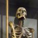 museo di anatomia umana bologna 8-2022 4734