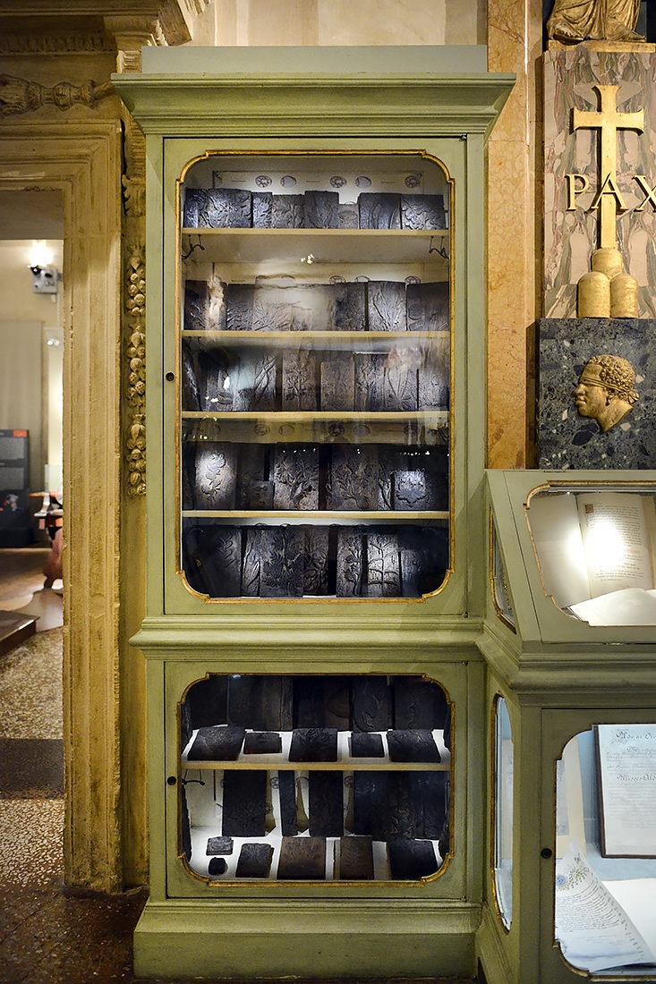 museo di storia naturale bologna 8-2022 3966