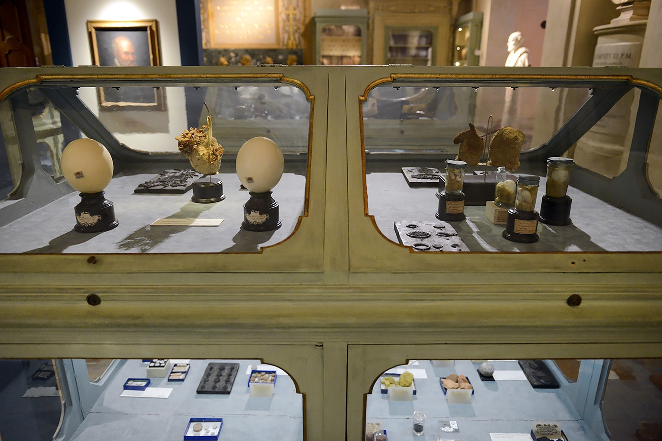 museo di storia naturale bologna 8-2022 3987