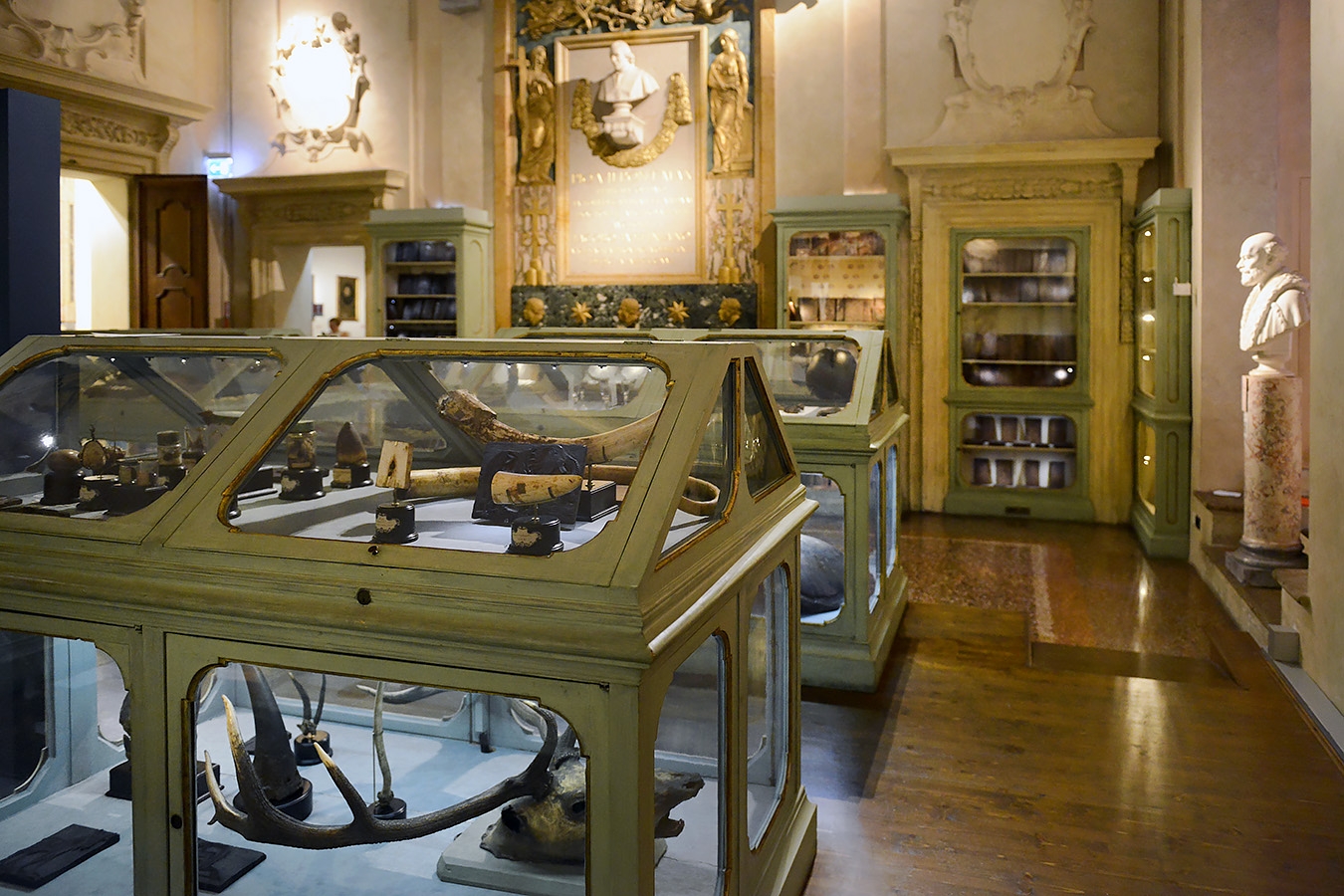 museo di storia naturale bologna 8-2022 3988