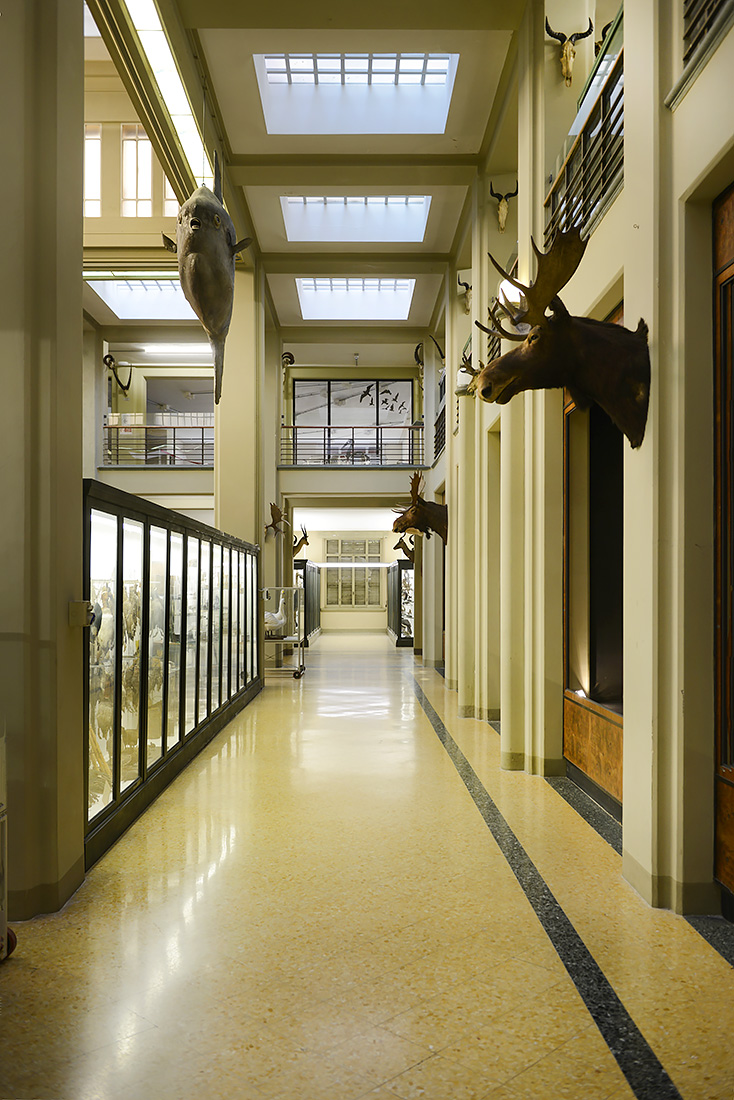 museo di zoologica bologna 8-2022 4428