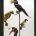 museo di zoologica bologna 8-2022 4569