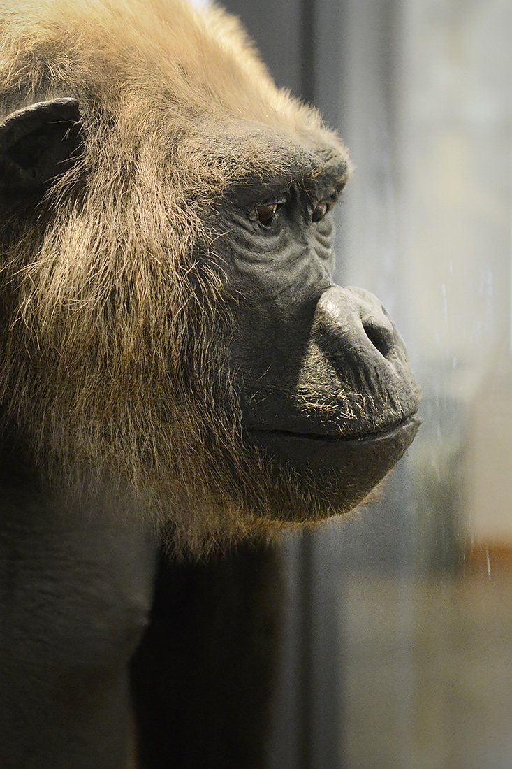 museum aquarium de nancy 8-2022 3845