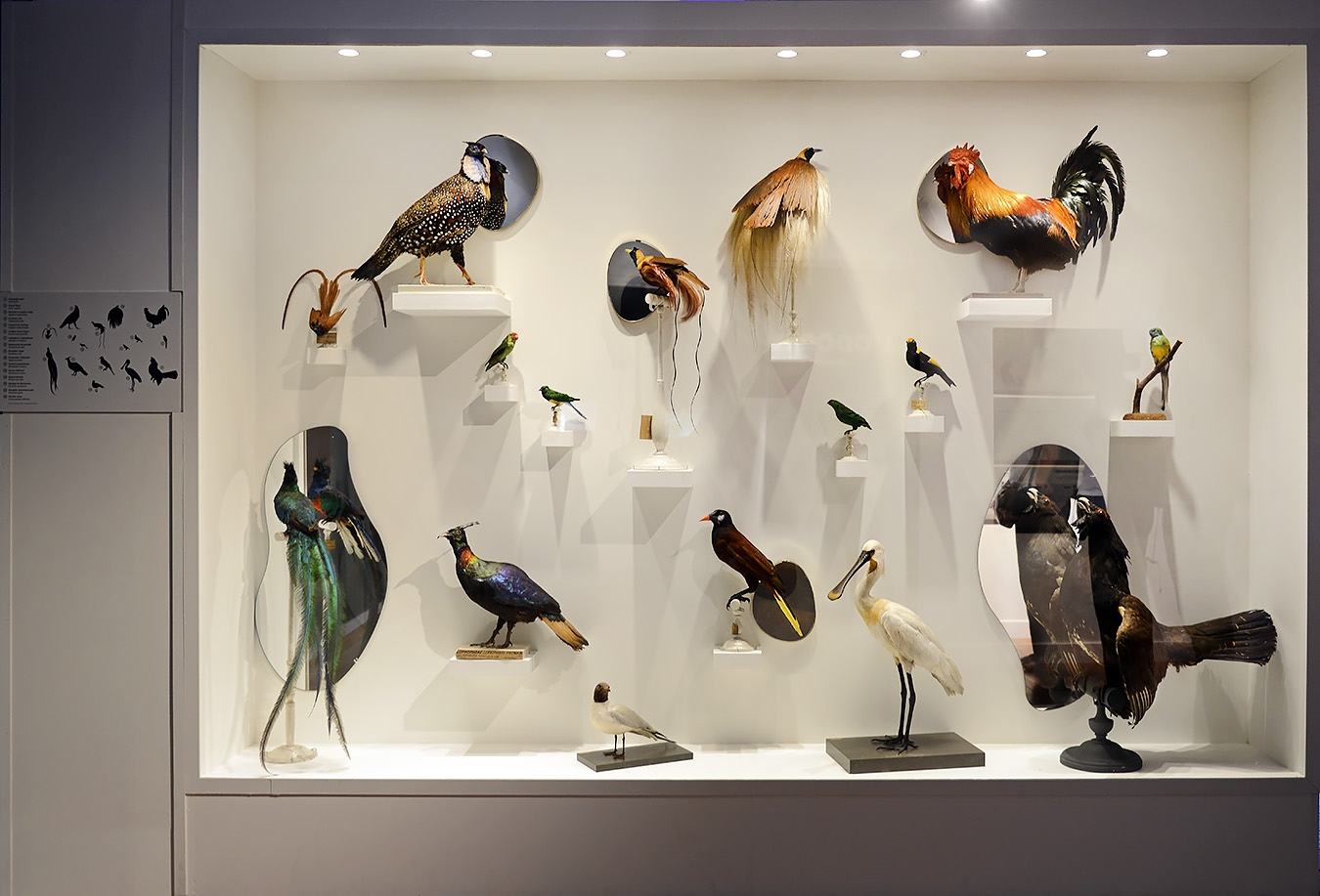 museum aquarium de nancy 8-2022 3868