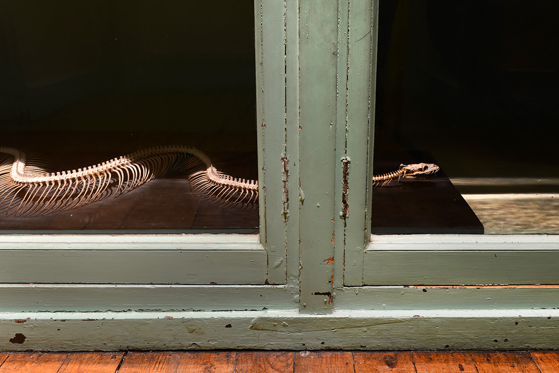 museum de histoire naturelle rouen 10-2021 0016