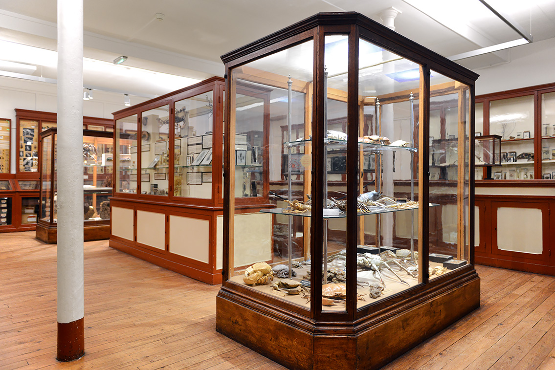 museum de histoire naturelle rouen 8-2021 9416
