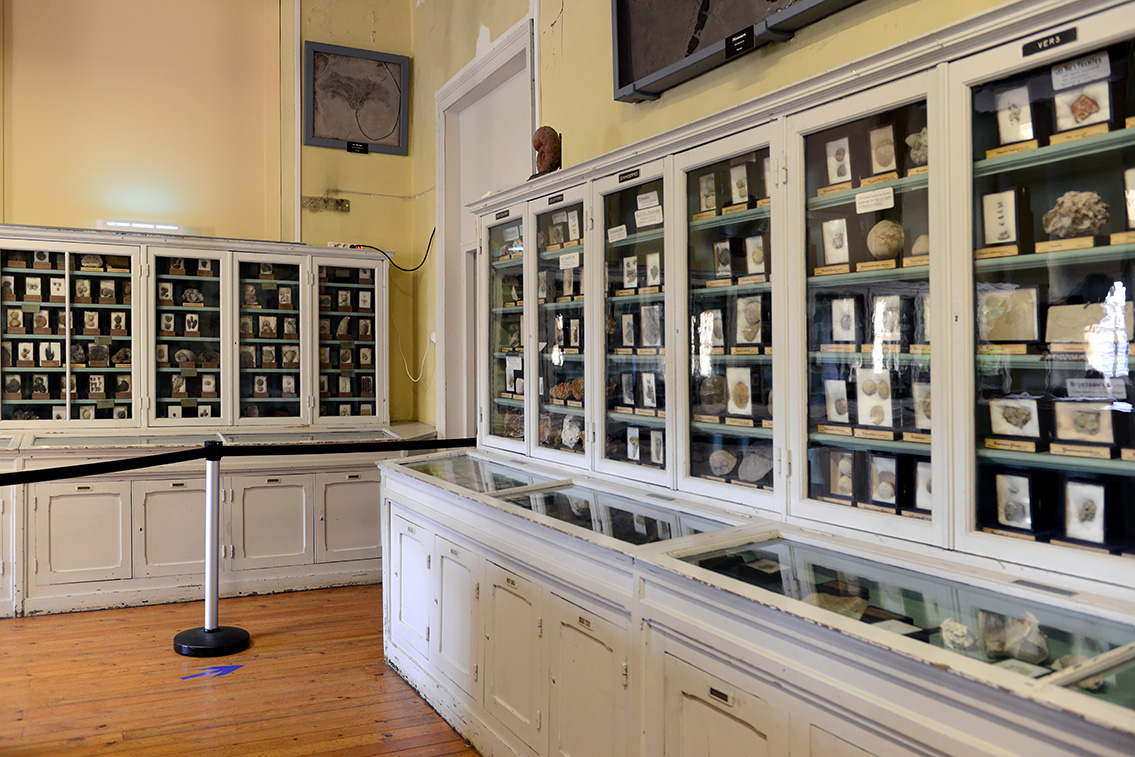 museum de histoire naturelle rouen 8-2021 9445