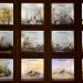 museum de histoire naturelle rouen 8-2021 9511