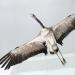museum de histoire naturelle troyes 8-2025 2755