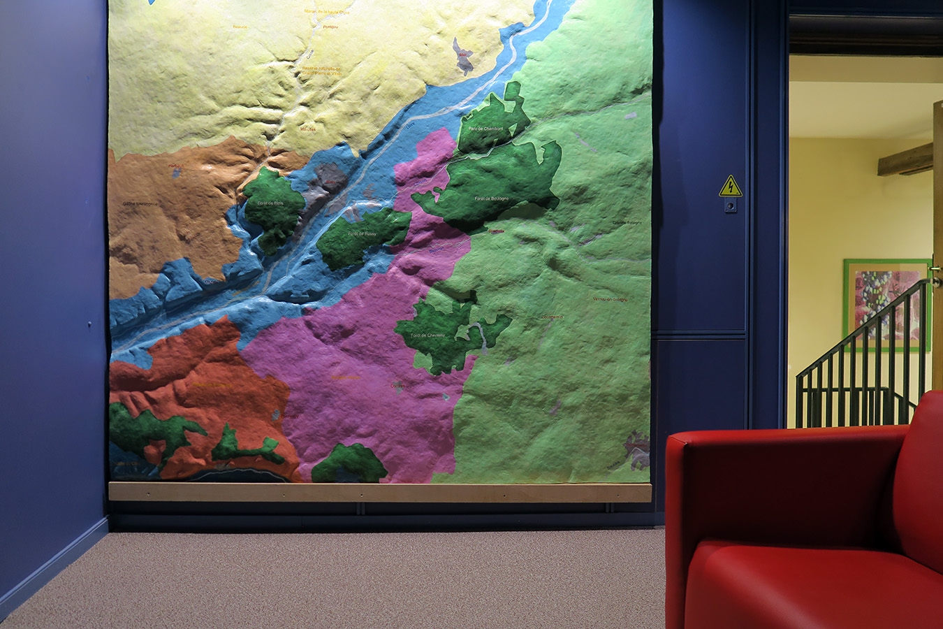 museum dhistoire naturelle blois 8-2025 2237