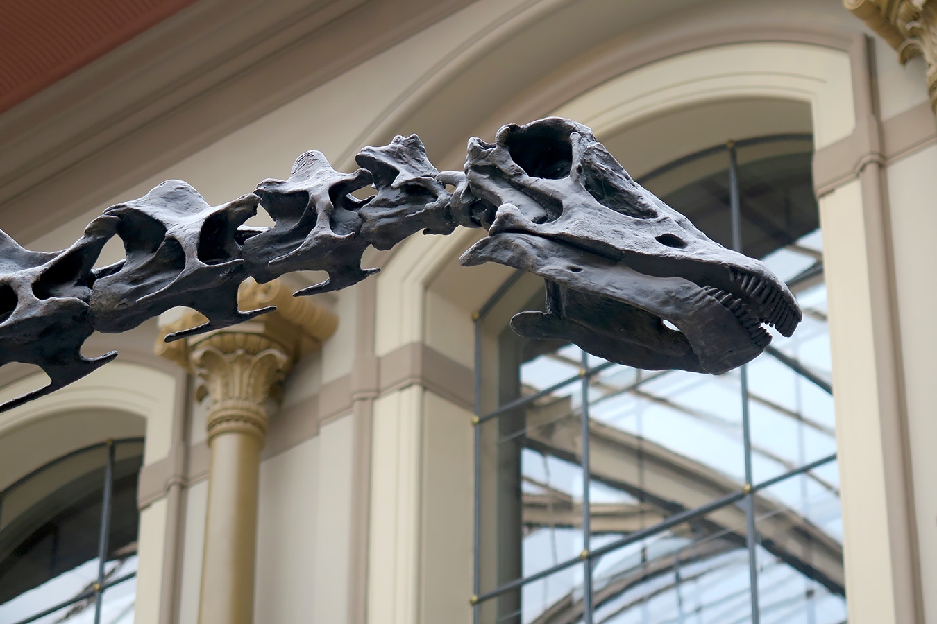 museum fur naturkunde berlin 5-2025 1214