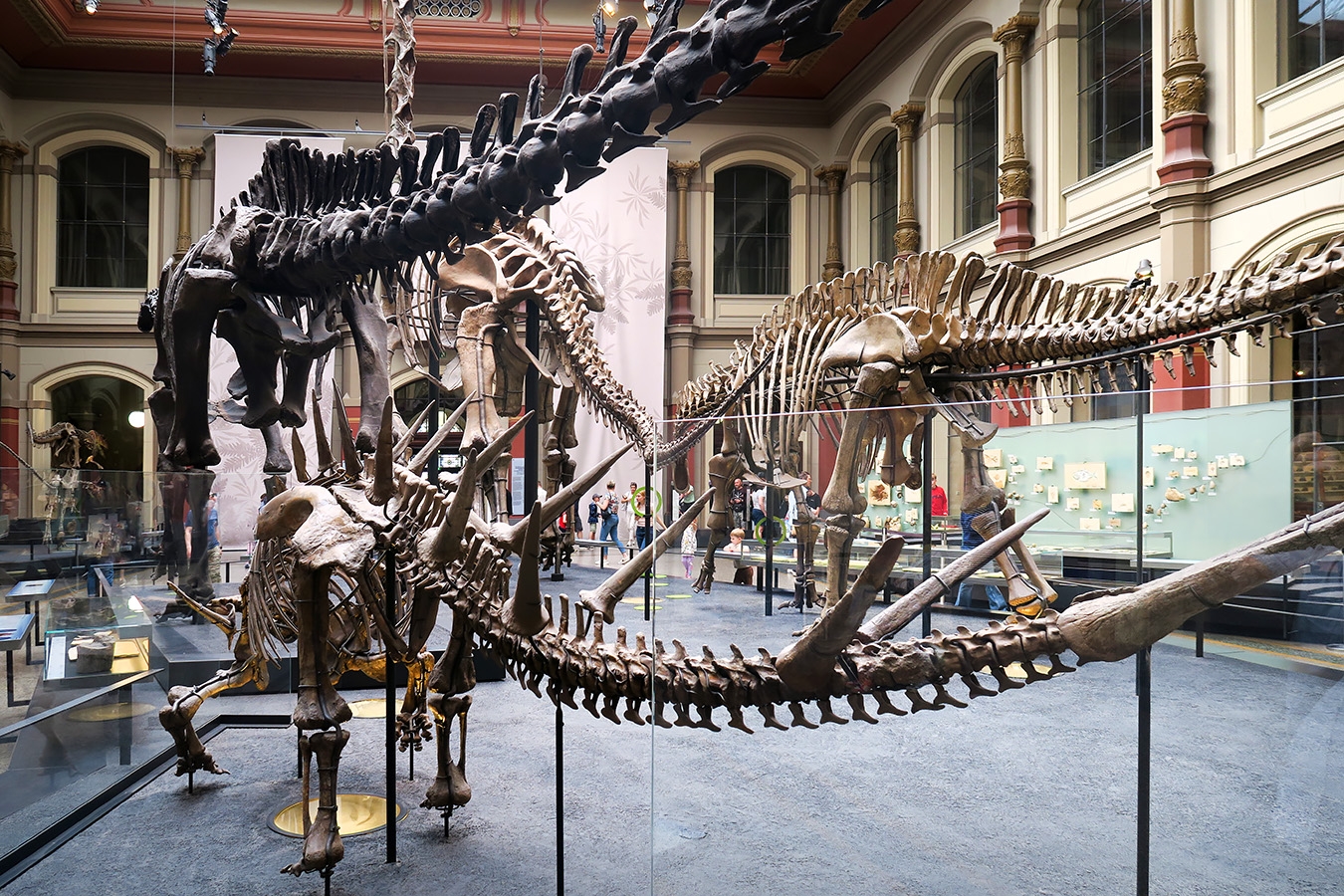 museum fur naturkunde berlin 5-2025 1220