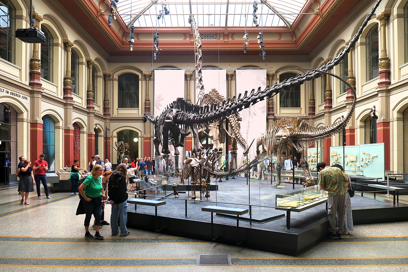 museum fur naturkunde berlin 5-2025 1222