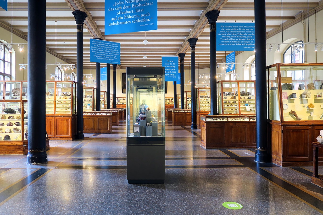 museum fur naturkunde berlin 5-2025 1232